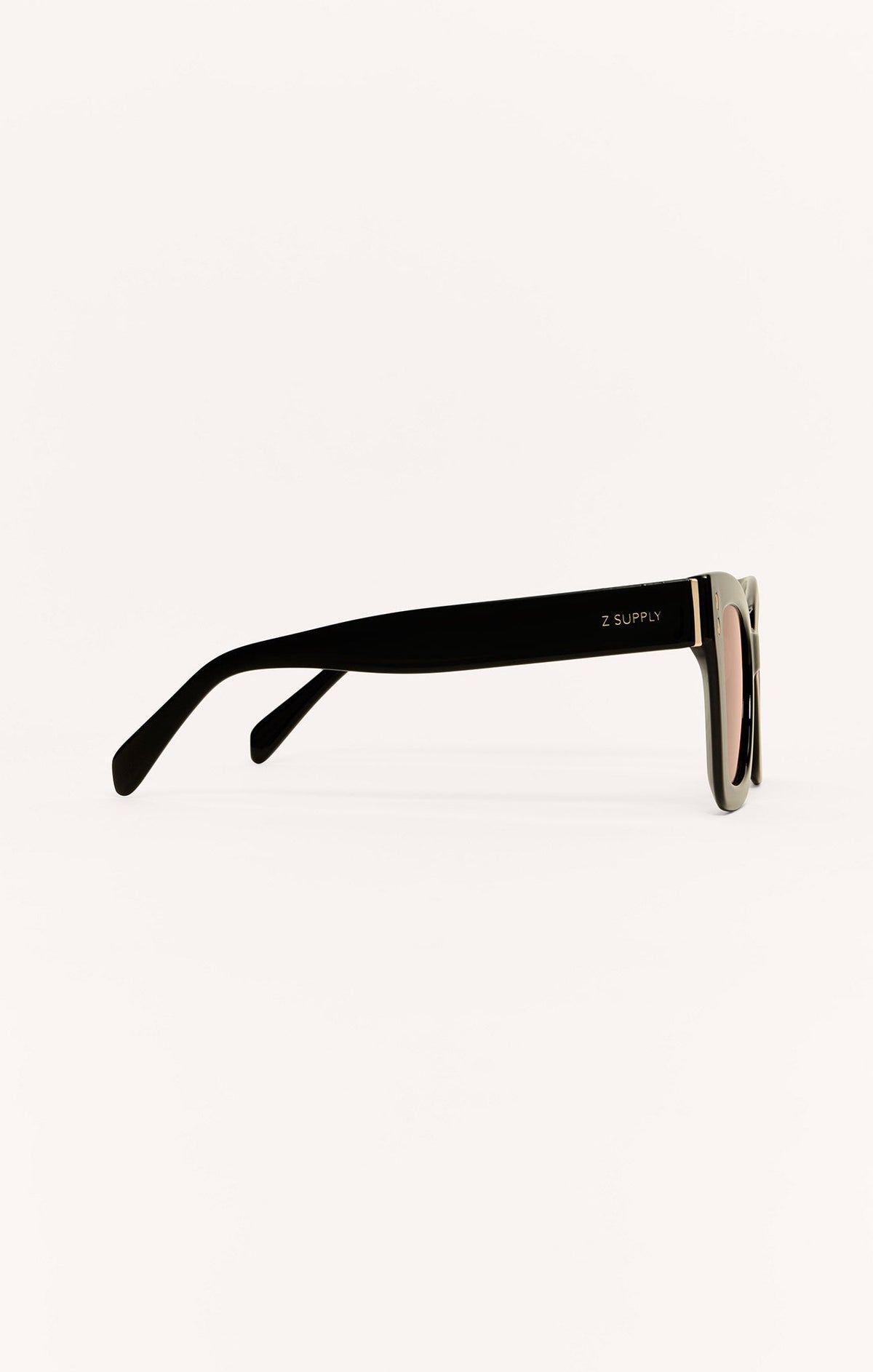 Confidential Polarized Sunglasses
