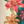 Lani Floral Button Up